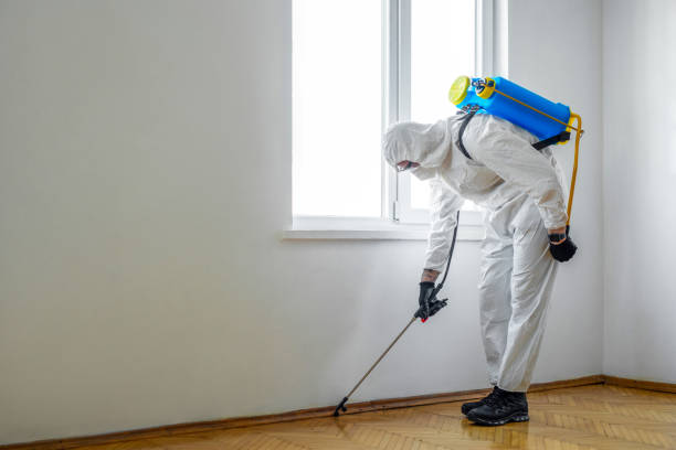 Best Pest Control Near Me in Kenly, NC